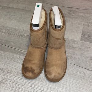 Chestnut Uggs